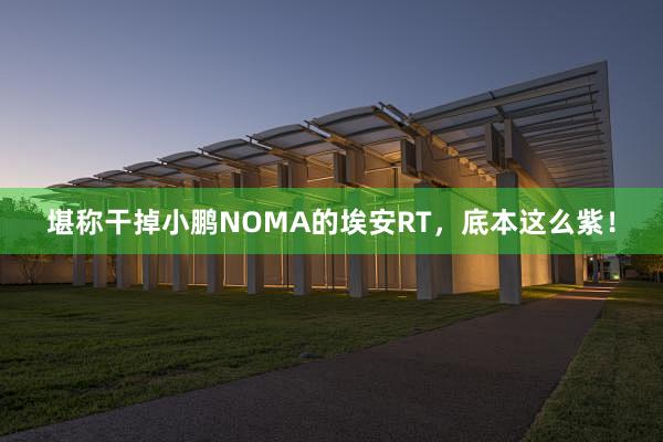 堪称干掉小鹏NOMA的埃安RT，底本这么紫！