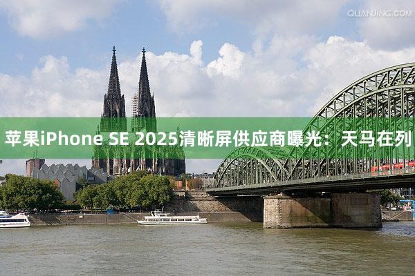 苹果iPhone SE 2025清晰屏供应商曝光：天马在列