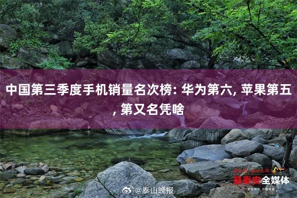 中国第三季度手机销量名次榜: 华为第六, 苹果第五, 第又名凭啥