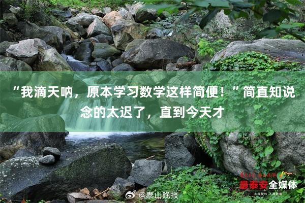 “我滴天呐,原本学习数学这样简便!”简直知说念的太迟了,直到今天才
