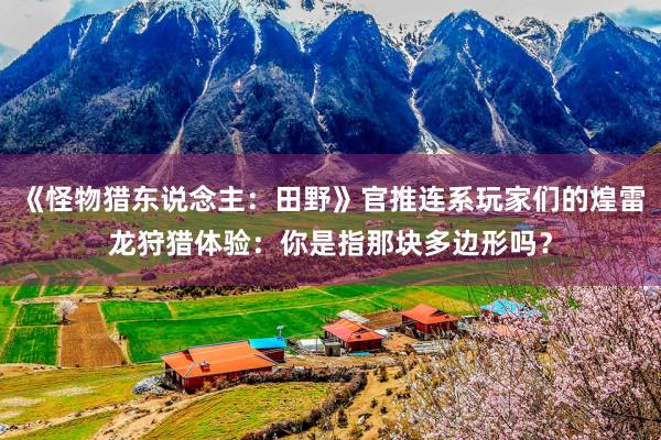 《怪物猎东说念主：田野》官推连系玩家们的煌雷龙狩猎体验：你是指那块多边形吗？