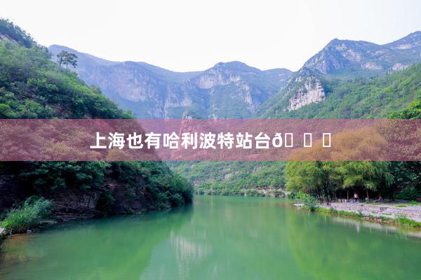 上海也有哈利波特站台🚉