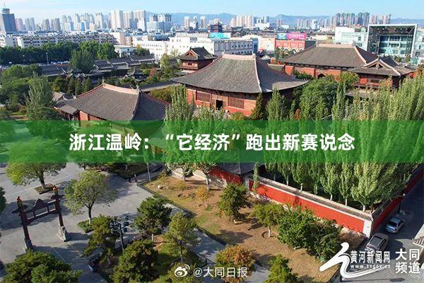 浙江温岭：“它经济”跑出新赛说念