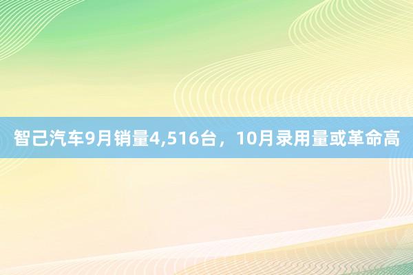 智己汽车9月销量4,516台，10月录用量或革命高