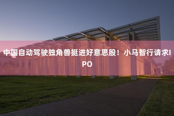 中国自动驾驶独角兽挺进好意思股！小马智行请求IPO