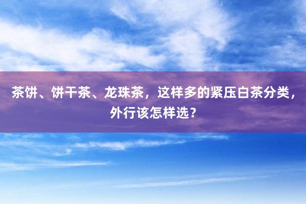 茶饼、饼干茶、龙珠茶，这样多的紧压白茶分类，外行该怎样选？
